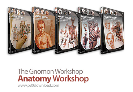 دانلود The Gnomon Workshop Anatomy Workshop vol.1-5 with Charles Hu - آموزش طراحی آناتومی بدن انسان