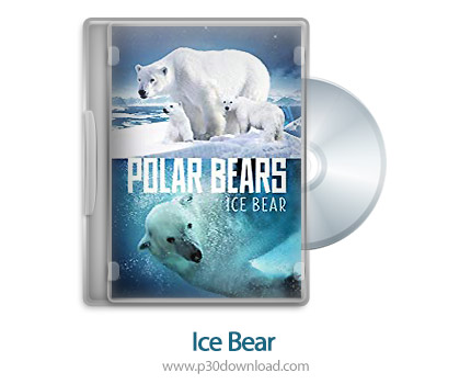دانلود Ice Bear 2014 - مستند خرس قطبی